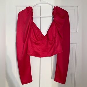 Zara Hot Pink Long-Sleeved Low Cut Crop Top